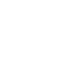 ce logo Honolulu