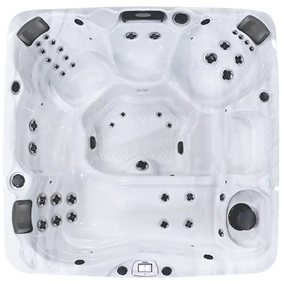 Avalon-X EC-840LX hot tubs for sale in Honolulu