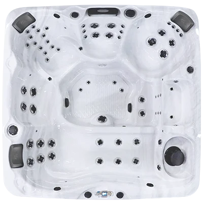 Avalon EC-867L hot tubs for sale in Honolulu
